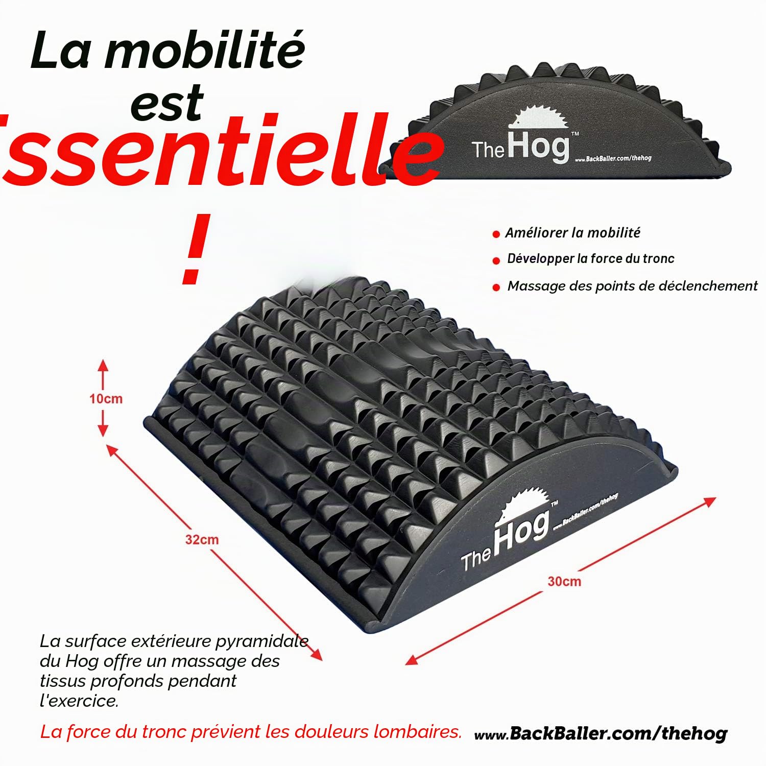 Civière dorsale/entraîneur abdominal/tapis AB/entraînement de hérisson Pilates - The Hog