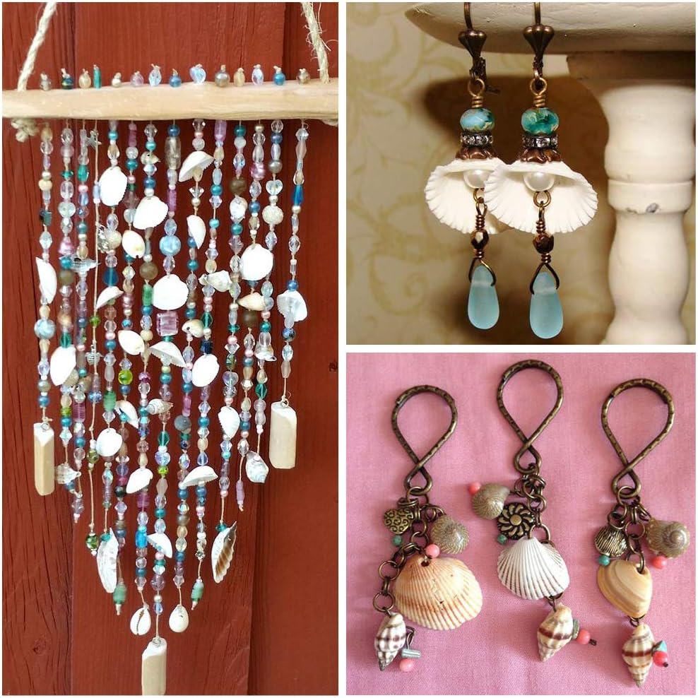 Pandahall 117Pcs/Box Natural Clam Shell Charm Pendants Beach Ocean White Seashell Beads with Hole for Bracelet Necklace Jewelry Making Vase Filler Fish Tank Decor - Image 6