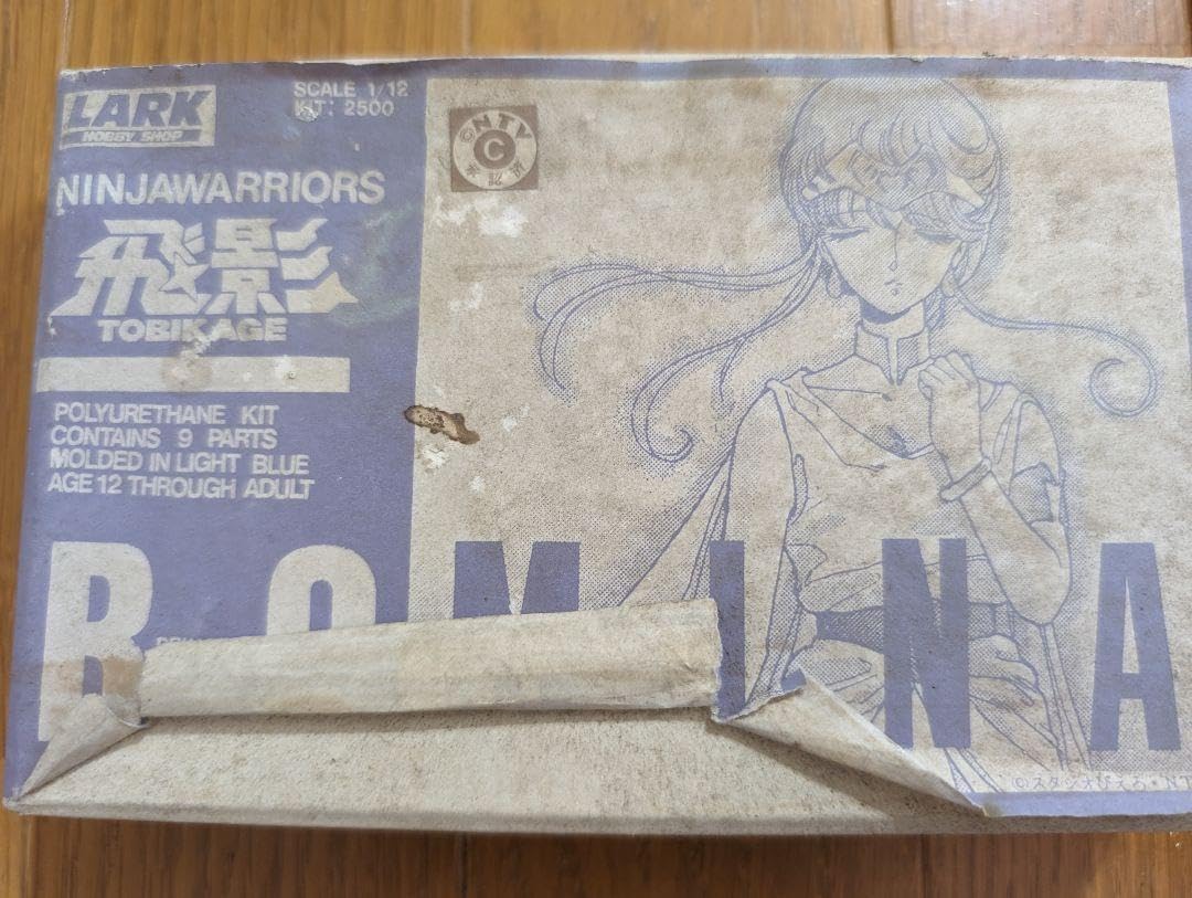 Amazon.co.jp: 忍者戦士飛影 1 12ロミナ姫 ガレージキット : おもちゃ