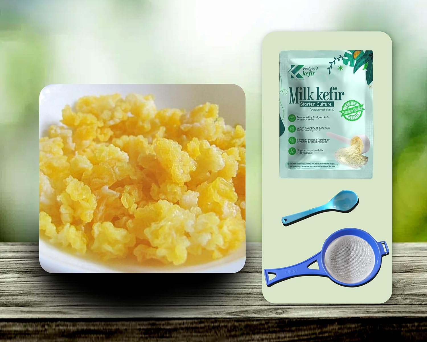 Buy Dehydrated Milk Kefir Grains (15 Grams) 1 YEAR shelf life SAFE