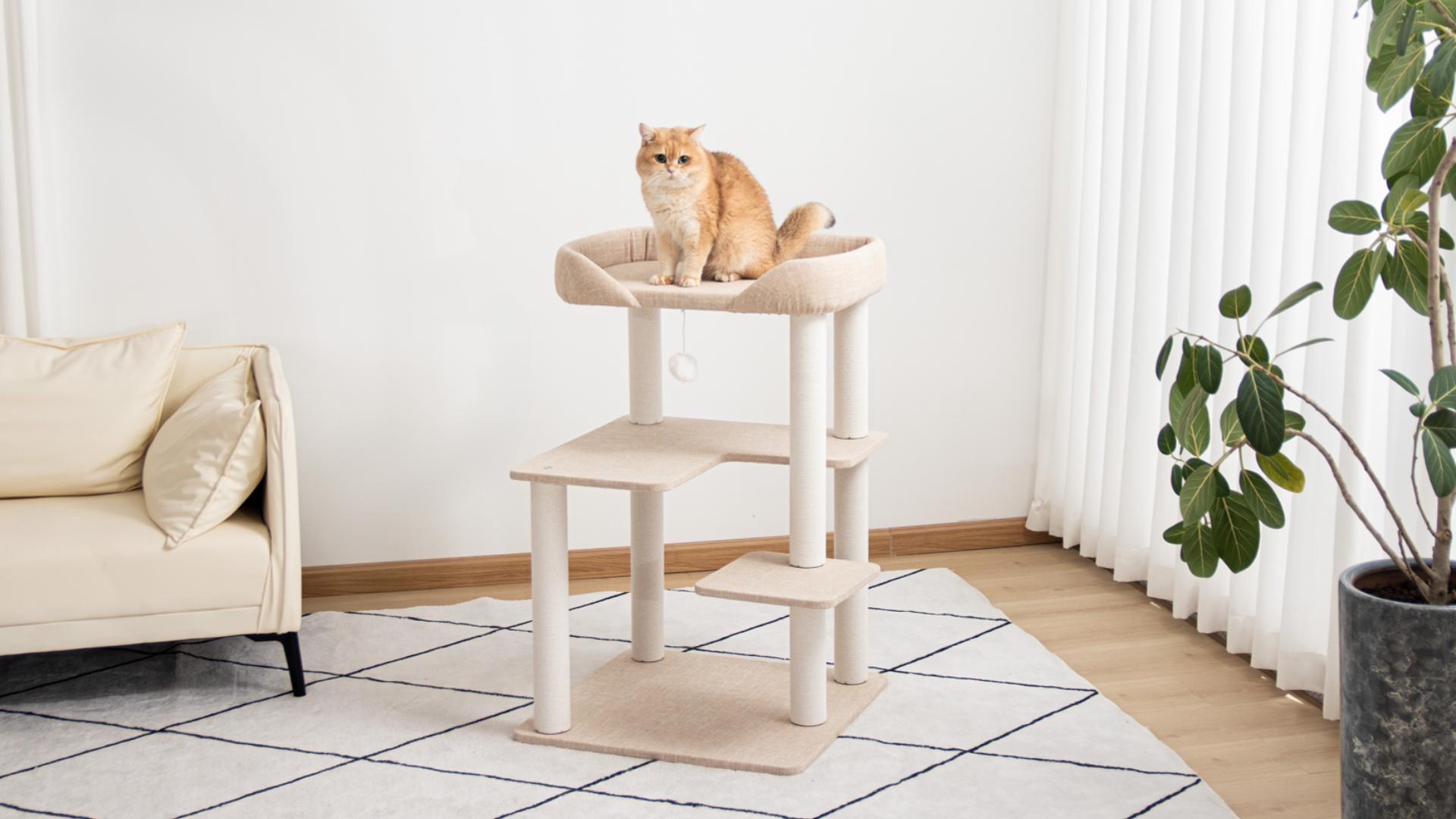 Amazon | なになにLife ＼クッション入りベッド／ キャットタワー