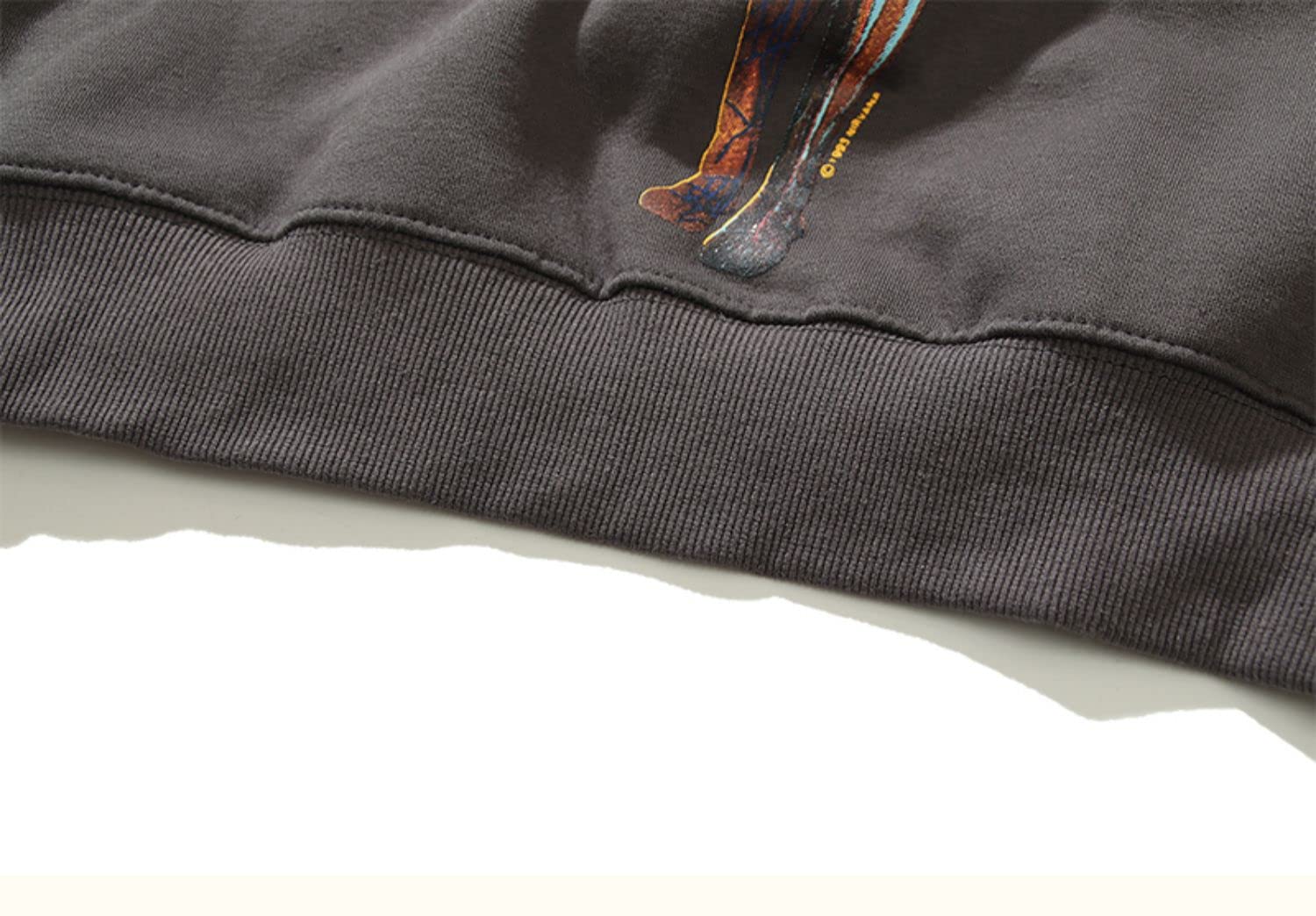 Moda Hip Hop Felpa per Unisex Adulti Adolescenti Nirvana Ala Stampa Manica Lunga Maglione Con Cappuccio Alla Moda Pullover Top