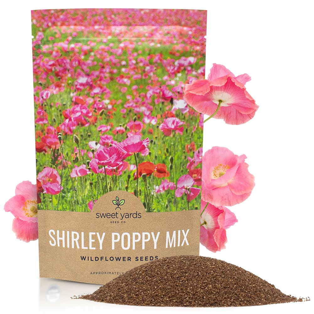 Shirley Poppy Seeds
