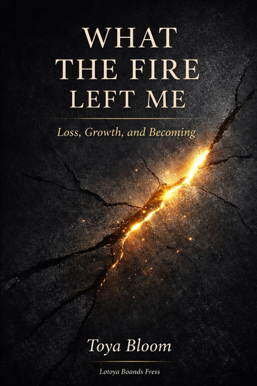 What The Fire Left Me