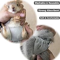 Vista 6 de Pañales lavables de ardilla – Pañales de tela reutilizables extra pequeños para mascotas, altamente absorbentes, a prueba de fugas, pantalones