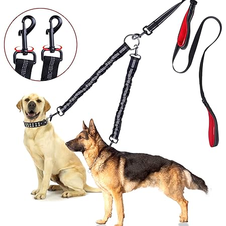 Best 2 dog leash Clearance