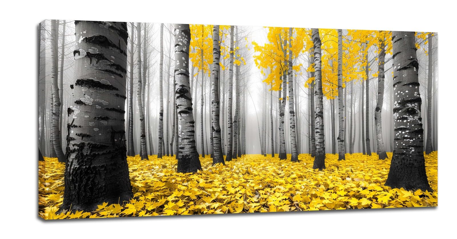 Cadiler Golden Birch Tree Large Wall Art Birch Forest Wall Decor Fallen Leaves Pictures Canvas Prints Painting Artwork Home Decoration for Restroom Bedroom Living Room 60""x30""