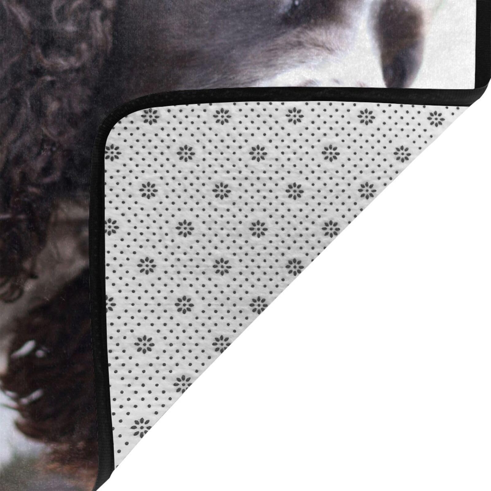 Englischer Cocker Spaniel, braun-weiße lockige Hunde, Großer Teppich, rutschfeste Fußmatte für Wohnzimmer und Schlafzimmer, 150 x 100 cm