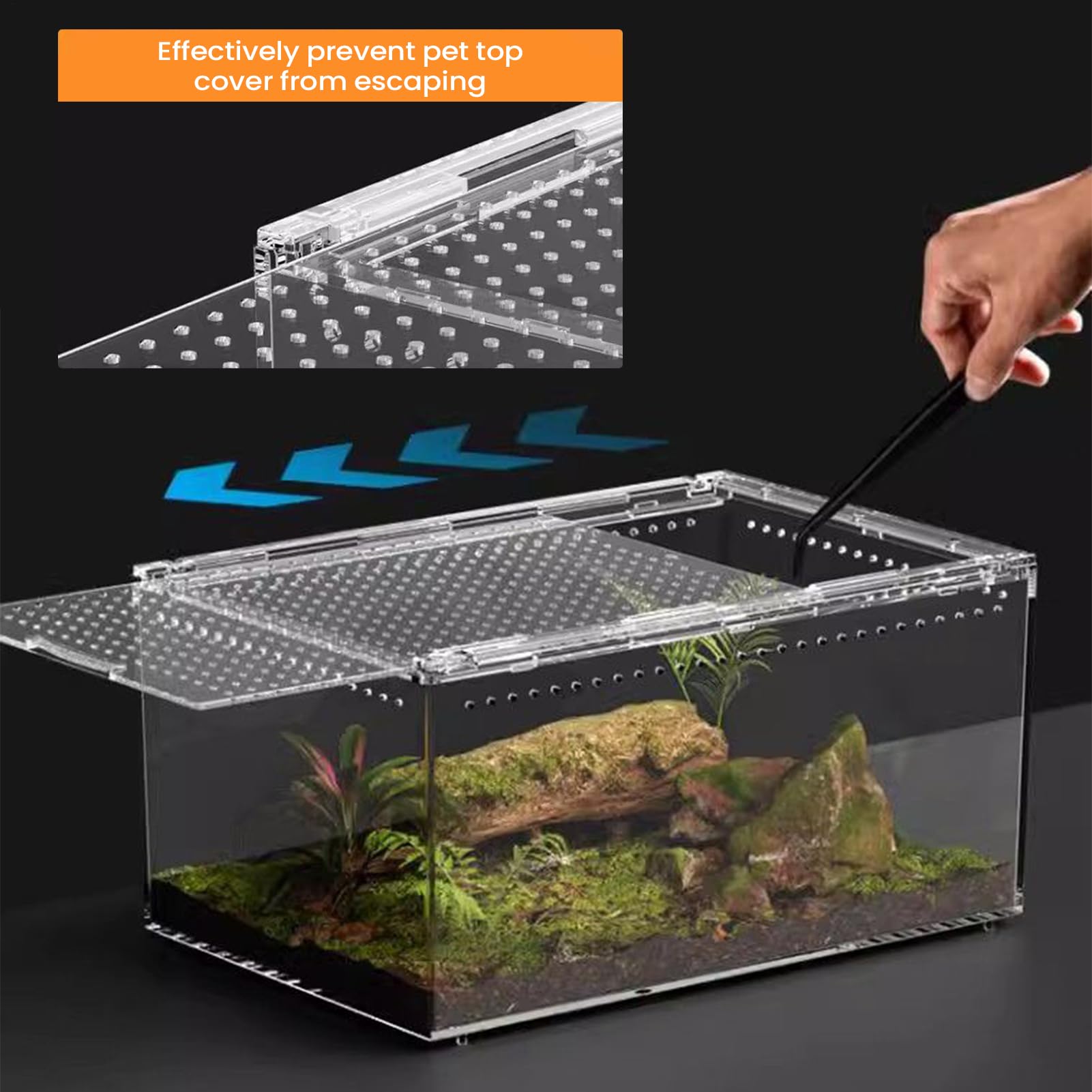 Jumping Spider Enclosure, przezroczysta ucieczka, odporna na ucieczkę, 15 , wentylowana konstrukcja dla małych zwierząt domowych, tarantula i gadów, do użytku wewnątrz i na biurko, żaba, gekon