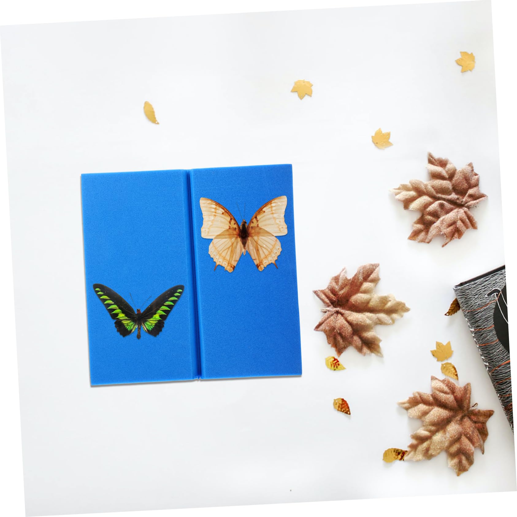 iplusmile 3pezzi Per Insetti Per Esposizione Per Per Pinning Insetti Kit Per Collezionisti Specimen