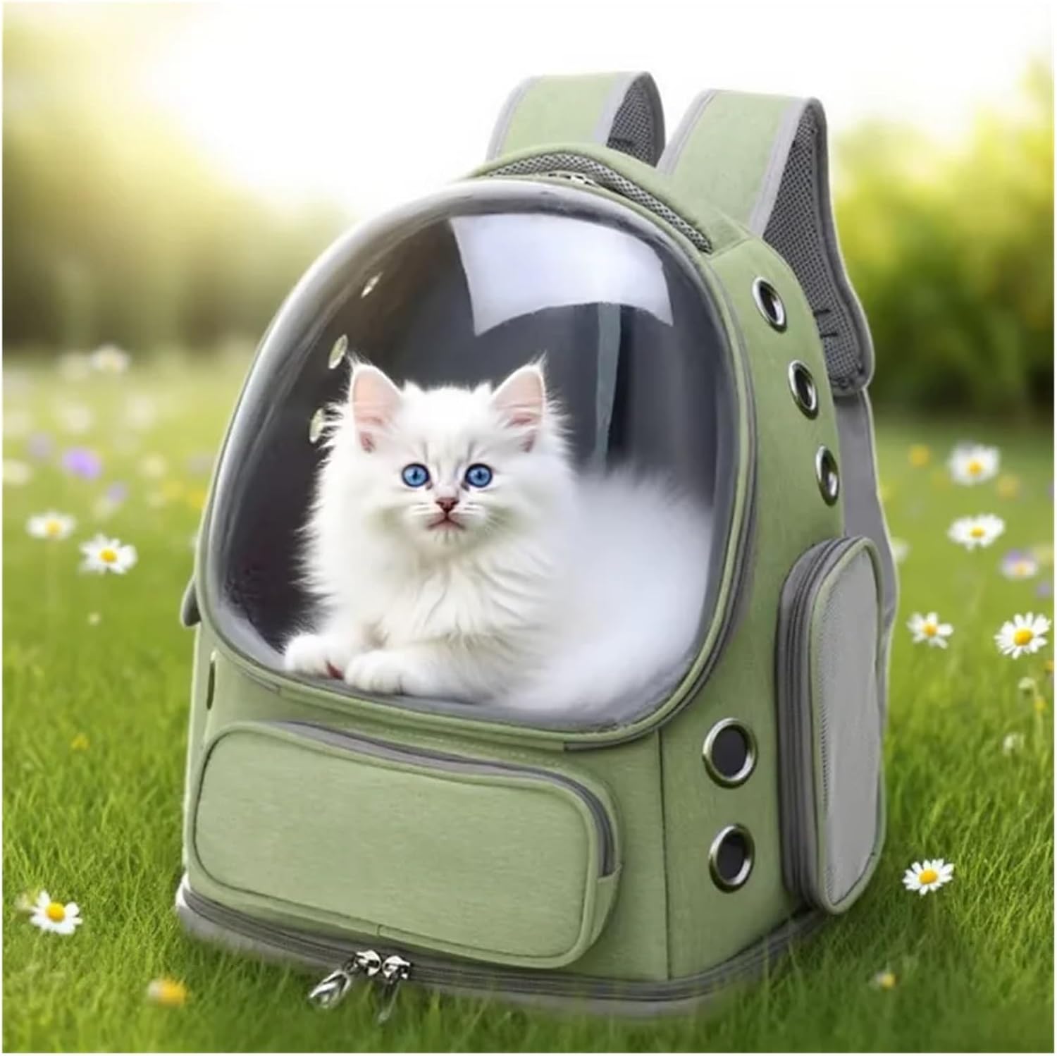 Transparent Foldable Pet Backpack, Travel Handheld Cat Harness Outdoor Pet Shoulder Bag, Portable Cat and Dog Harness(Green)