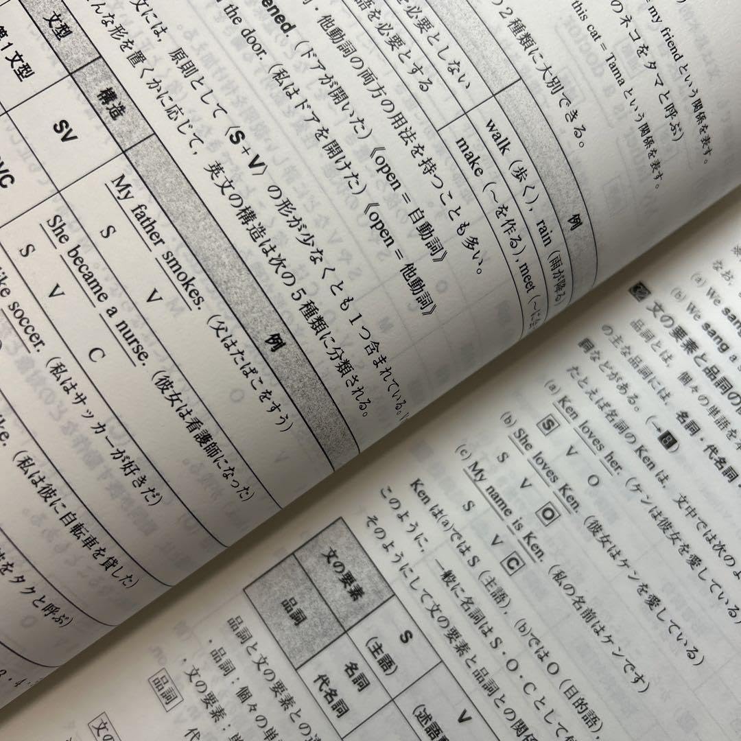 入手困難代ゼミテキスト 【入手困難】代ゼミテキスト Trinity総合英語