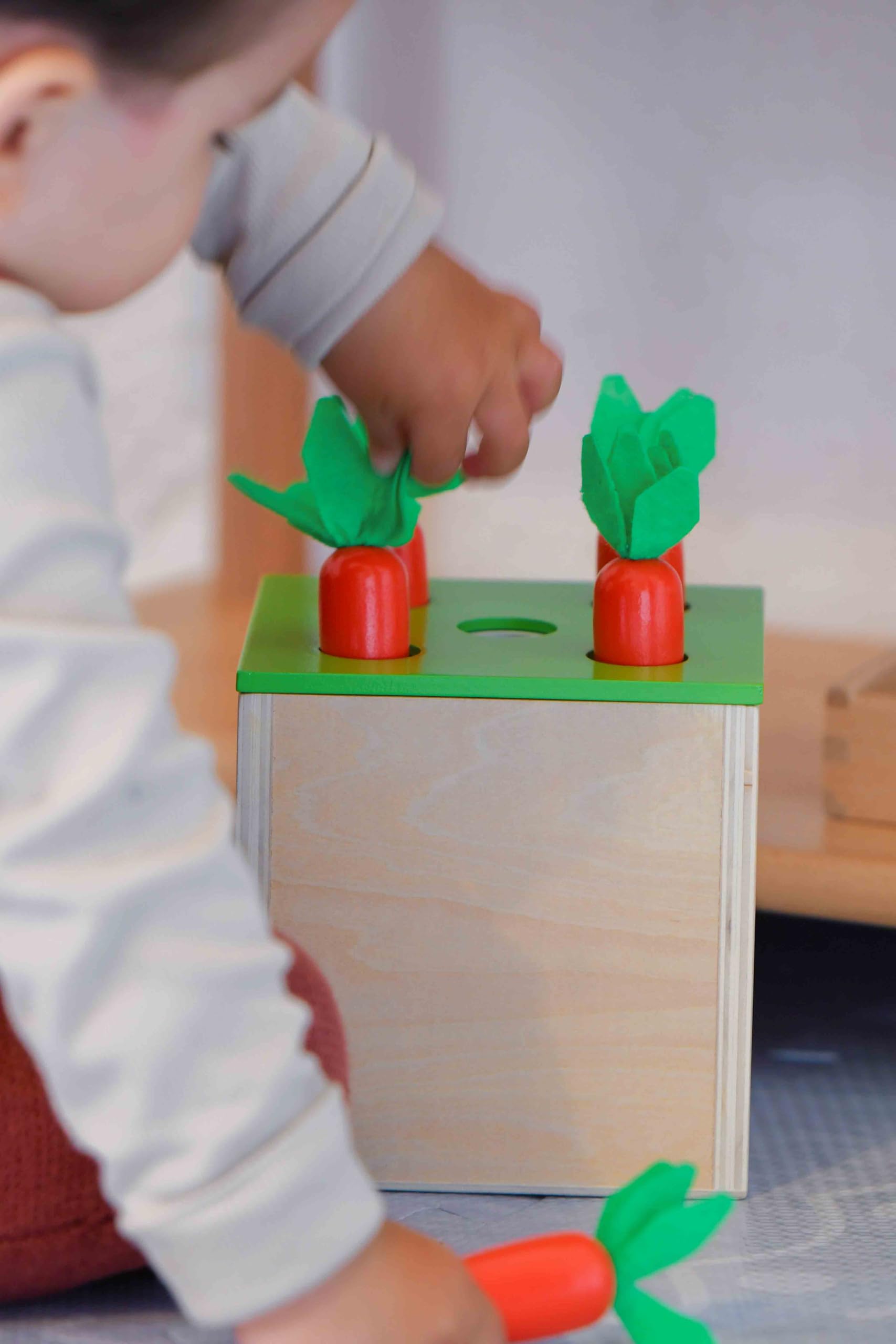 Montessori zestaw do zabawy dla małych dzieci, zabawka dla dzieci w wieku 1 roku i 2 lata, zabawka edukacyjna, prezent, marchewka, żniwa, zapałki, kolorowe pudełko na monety (3 dla 1)