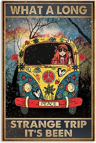NGFD - Rompecabezas de 1000 piezas What A Long Strange Trip It's Been Hippie, rompecabezas para adultos, piezas resistentes y ajustadas, caja de