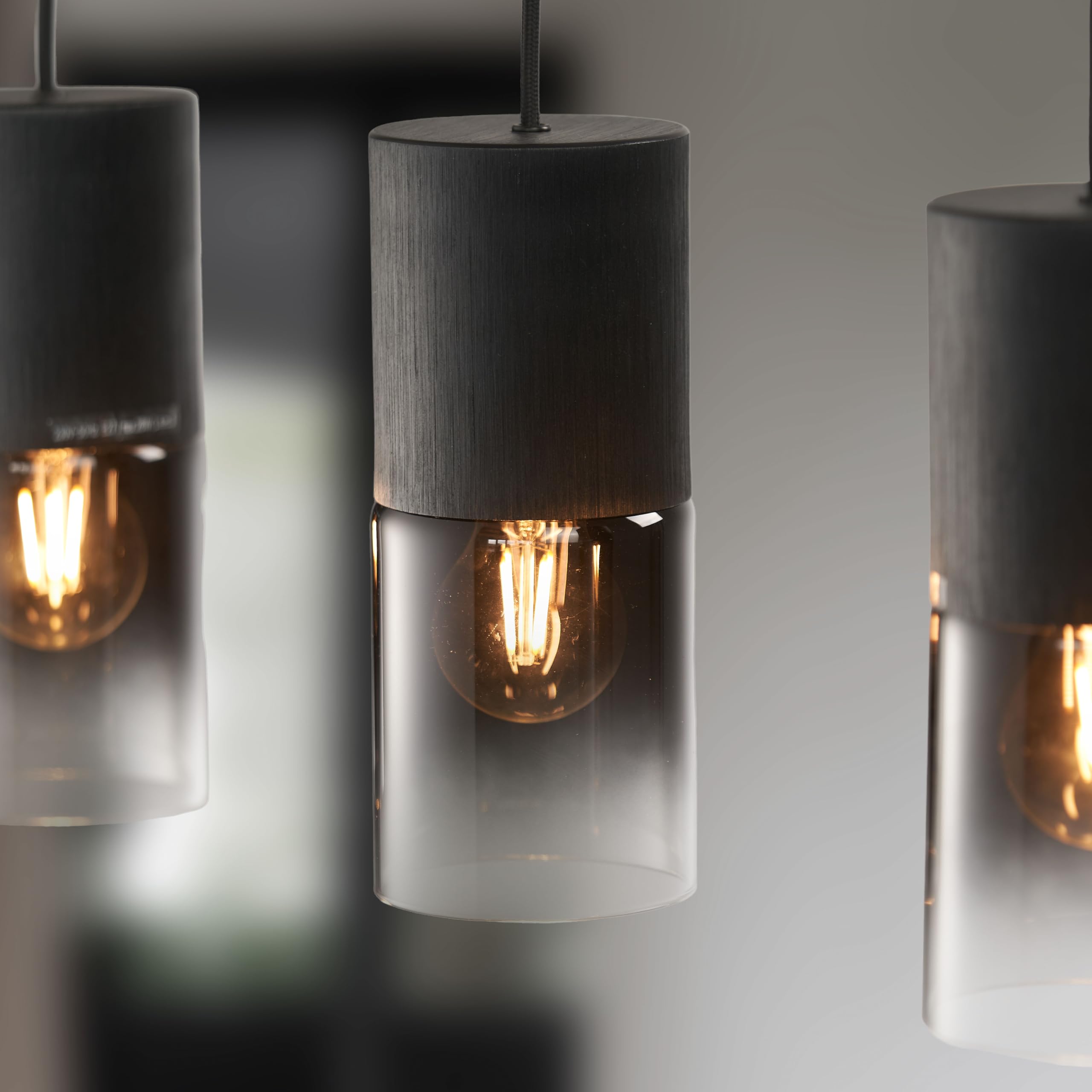 Trio Leuchten Pendelleuchte Robin 310600432, Metall Schwarz matt, Glas rauchfarbig, exkl. 4x E27, Schwarz Matt/Rauchfarbig