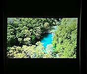 Review Image by Rachel Z Rachel Z