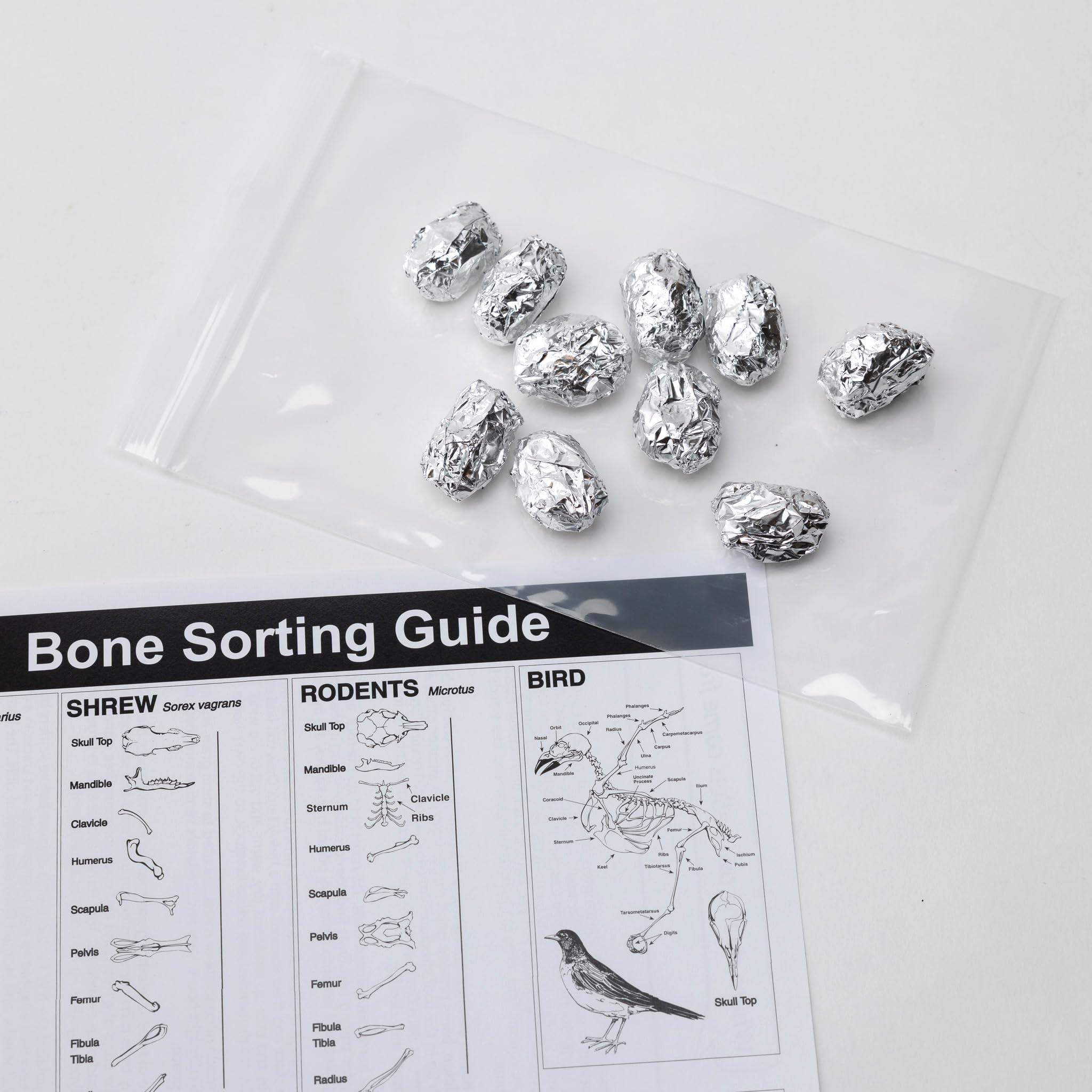 Owl Pellets (Set of 10 with Bone Chart)