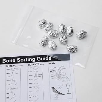 Barn Owl Pellets, Pack of 10 Extra Small Pellets and Bone Sorting Guide, Individually Foil Wrapped & Pre-Graded, Science Classroom Hands On Dissection Kit For Kids - Science Dissection Kit for Ages 8+