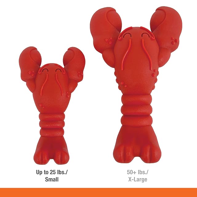 Foto 6 de 8 de Nylabone Juguete para Perros con Forma de Langosta y Filete Mignon (1 Unidad)