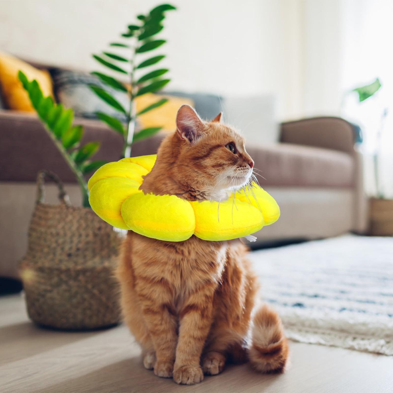 Milisten Cat Cone - Cute Cat Cone Collar, Soft Cat Donut Collar Cat Recovery Collar Kitten Cone Collar Cat Cones After Surgery - Image 2