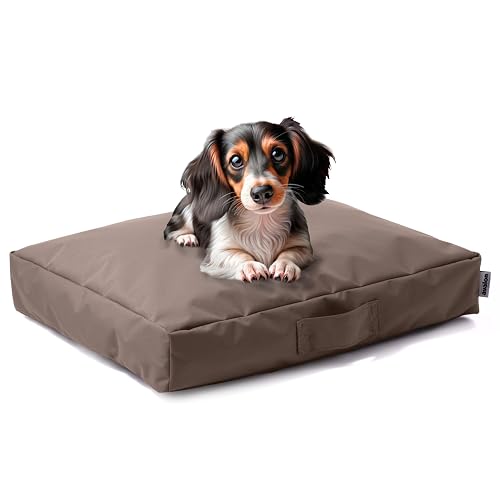 Avalon - Cojín para Perro Desenfundable y Lavable Pequeño en Tejido Jive Antidesgarro Premium, Anatómico…
