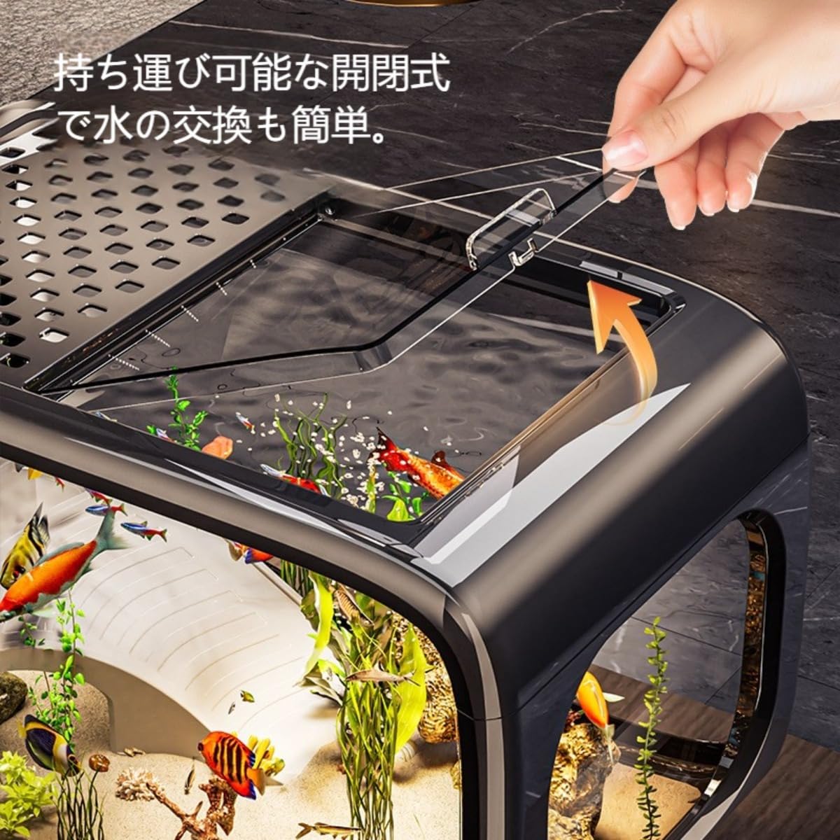 Amazon | ChoyClit 小型水槽セット 金魚飼育セット アクアテラリウム
