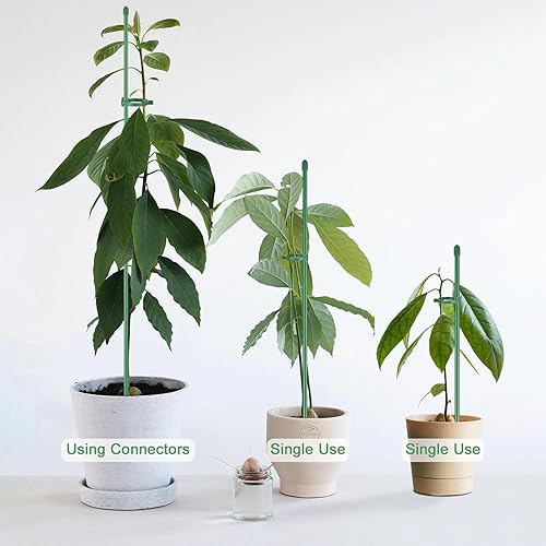 Miniatura 6 de 30 estacas de soporte para plantas con tubo de conexión adecuadas para plantas de exterior e interior, soporte ajustable verde de 15.75 y 11.81