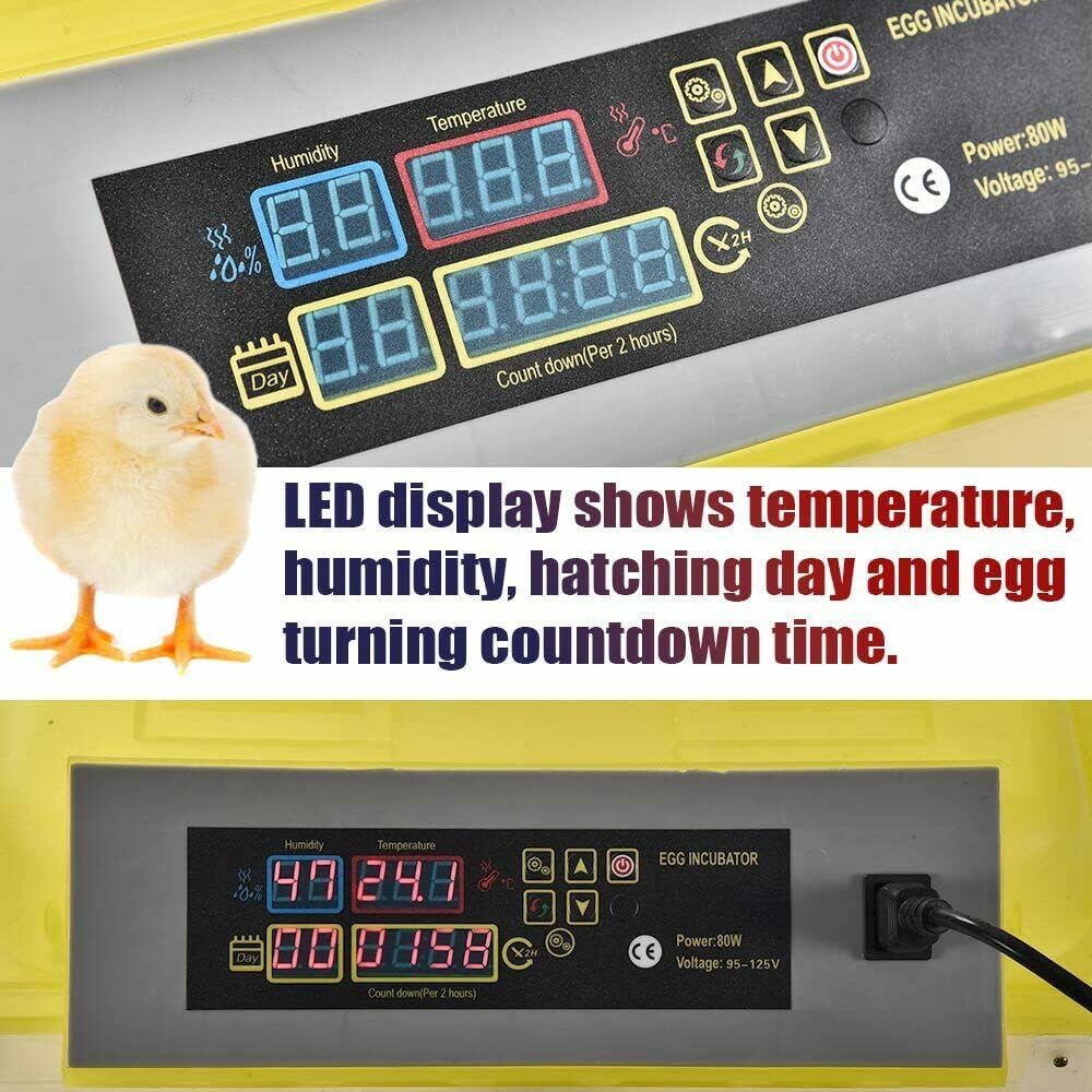 PIT66 (96 Eggs) Fully Automatic Self-Energizing Incubator for Chickens, Ducks, Geese and Other Poultry &Quail, Pigeons and Other Birds