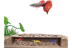 CTWPets Breeding Cave - Brown