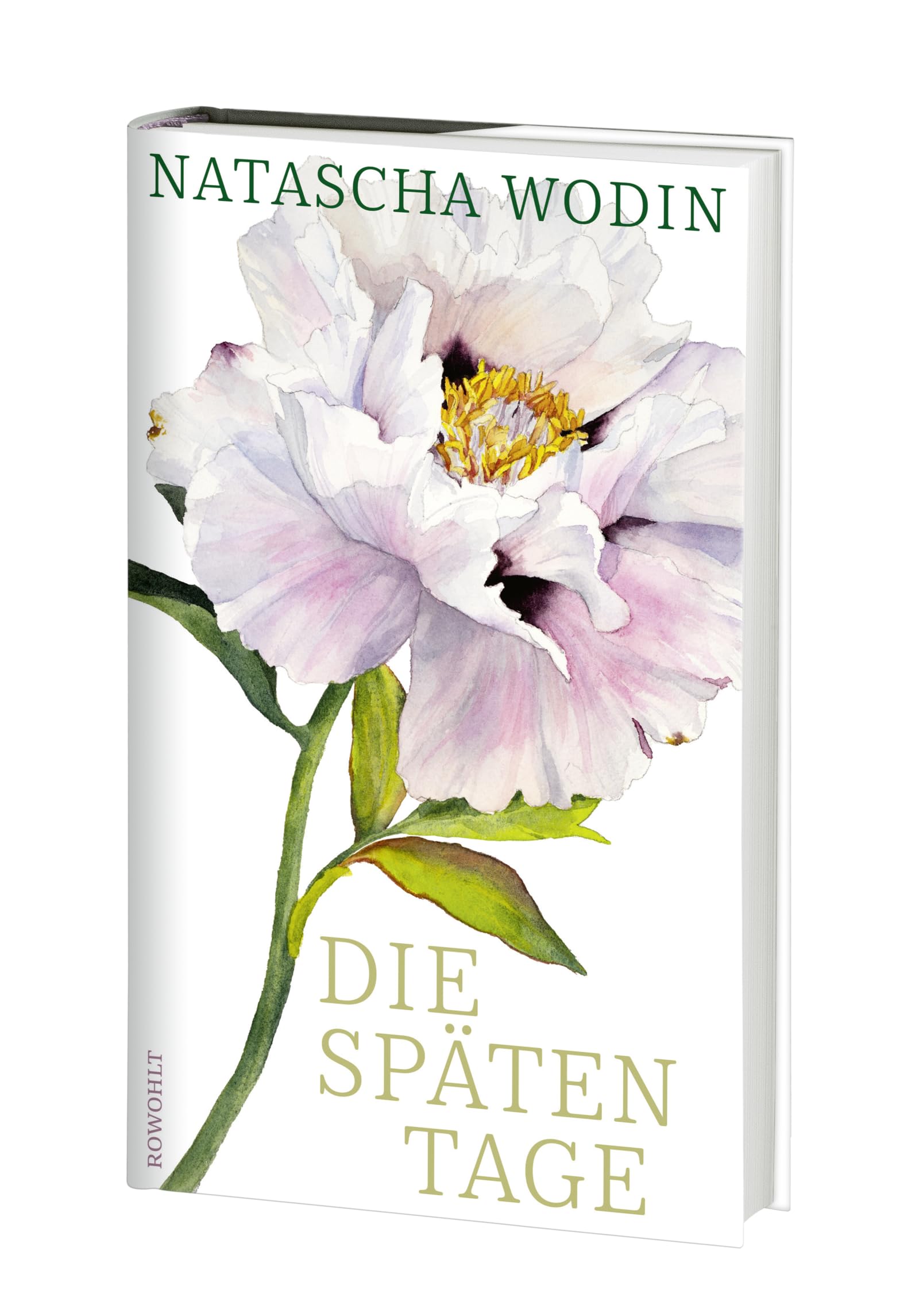Die späten Tage: Über das Altwerden und eine späte große Liebe
