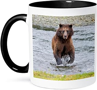 3dRose Brown bear chases after a salmon dinner at Pack Creek. 11oz Two-Tone Black Mug