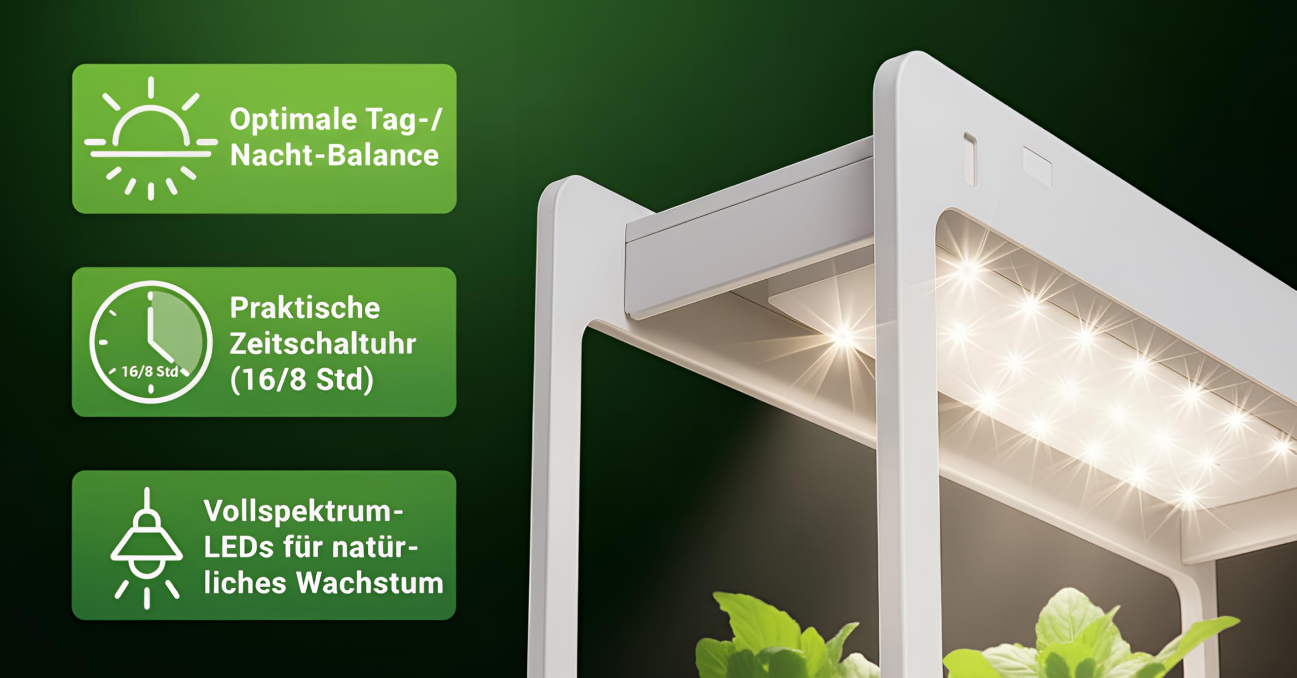 Romberg Homegarden Mini Serre d'intérieur avec éclairage LED Blanc 50,5 x 21 x 40 cm