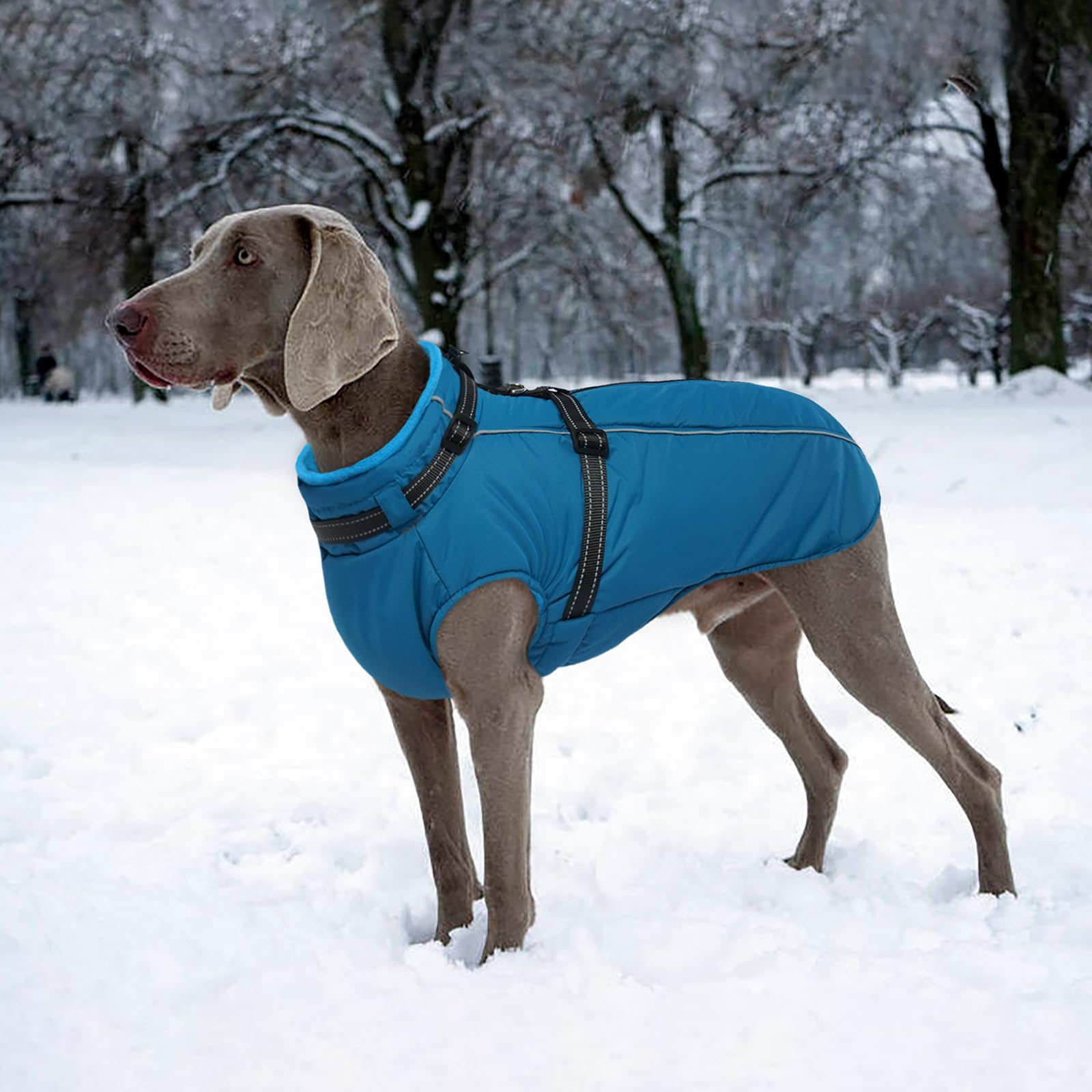 Lelepet Abrigo para Perro, Abrigo para Perro con arnés Integrado, Abrigo de Invierno cálido para Perro, Chaqueta Impermeable para Perro con arnés, Abrigos para Clima frío, Chaleco Grueso de Forro