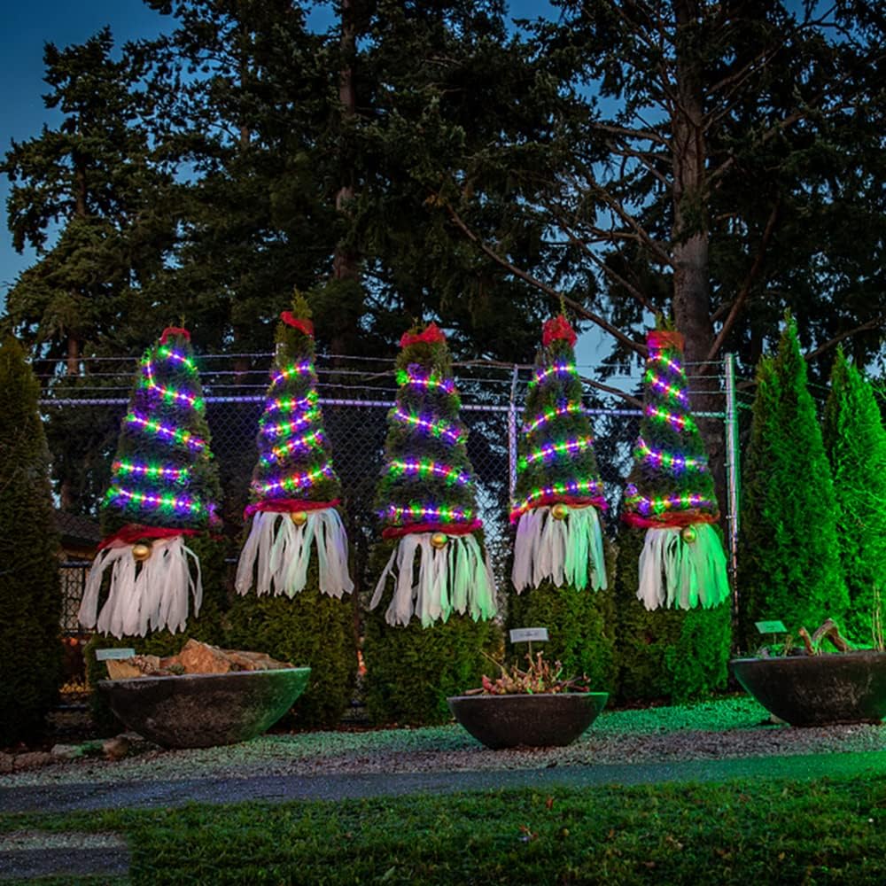 Buy HuiZhen Indoor Outdoor Rope Lights,110v 100ft Connectable ...