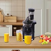 Vista 5 de Máquina exprimidora, 250 W, exprimidor de masticación en frío, extractor de exprimidor lento para el hogar, máquinas exprimidoras para frutas