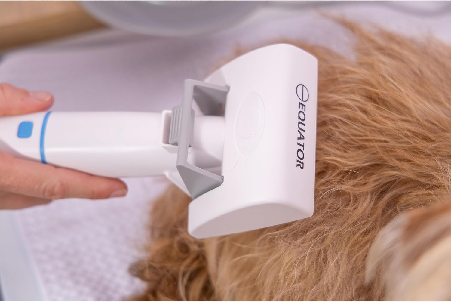 Equator EPG 2500 5-in-1 Pet Grooming Vacuum Kit, 10,000PA Suction | 2.5L Canister, Low-Noise 60dB, Trimmer, Brush & Shedding Tool for Dogs and Cats