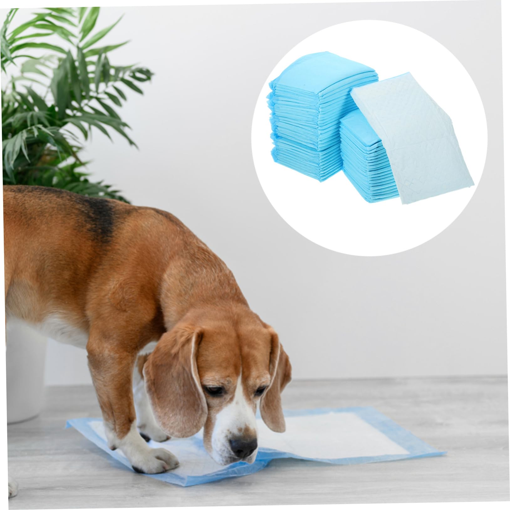 100 Pièces, Absorbants pour Pipi De Chiot, D'entraînement pour Pipi De Chaton À Usage Unique, D'entraînement pour Chien