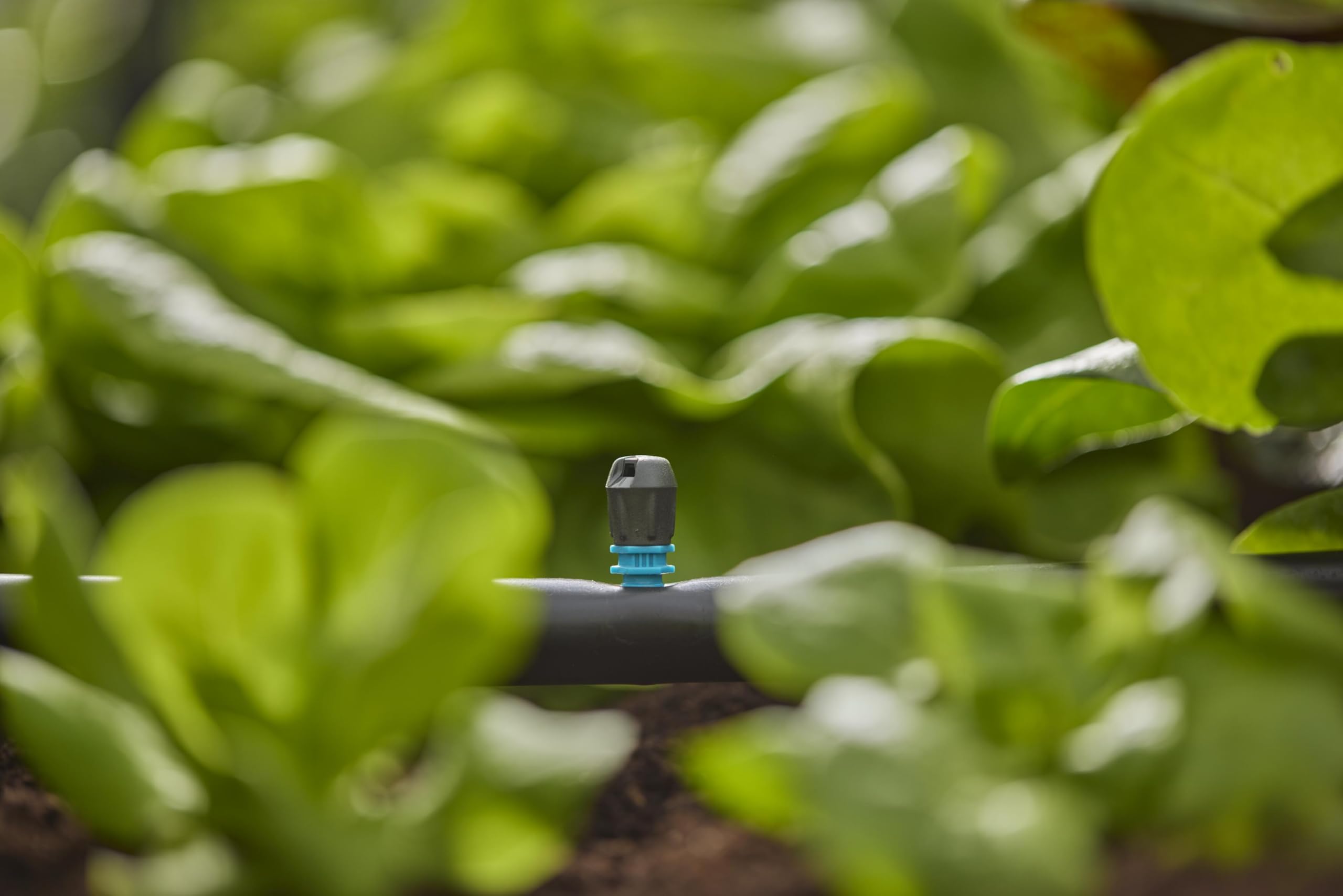 Gardena system Micro-Drip dysza końcowa pasmowa: Dysza rozpylająca do systemu nawadniania, do wąskich podłużnych powierzchni maks. 0,6 x 2,75 m, prosta technika połączeniowa (13318-20)