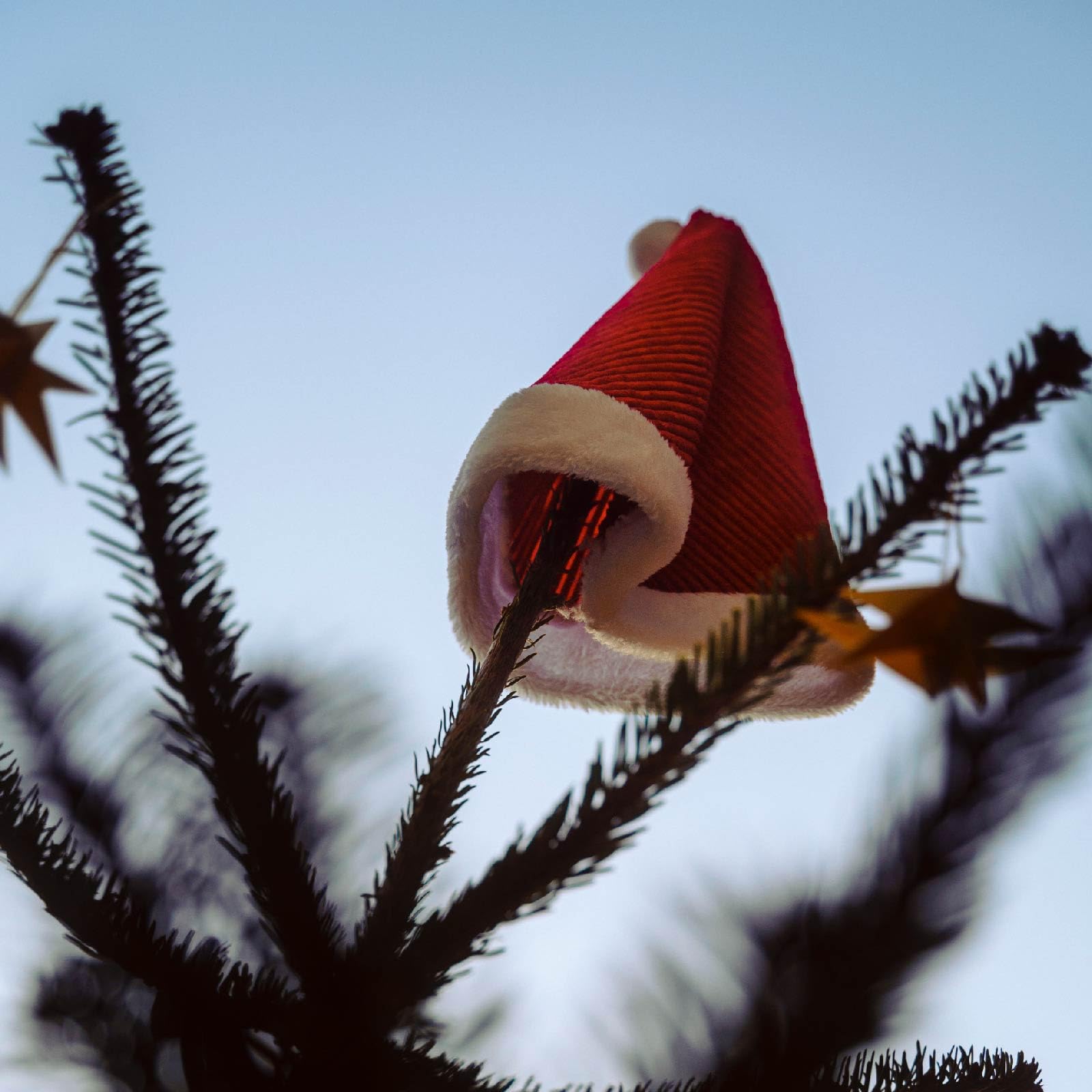 Amazon.co.jp: サンタ 帽子 クリスマス 人気 帽子 ぼうし
