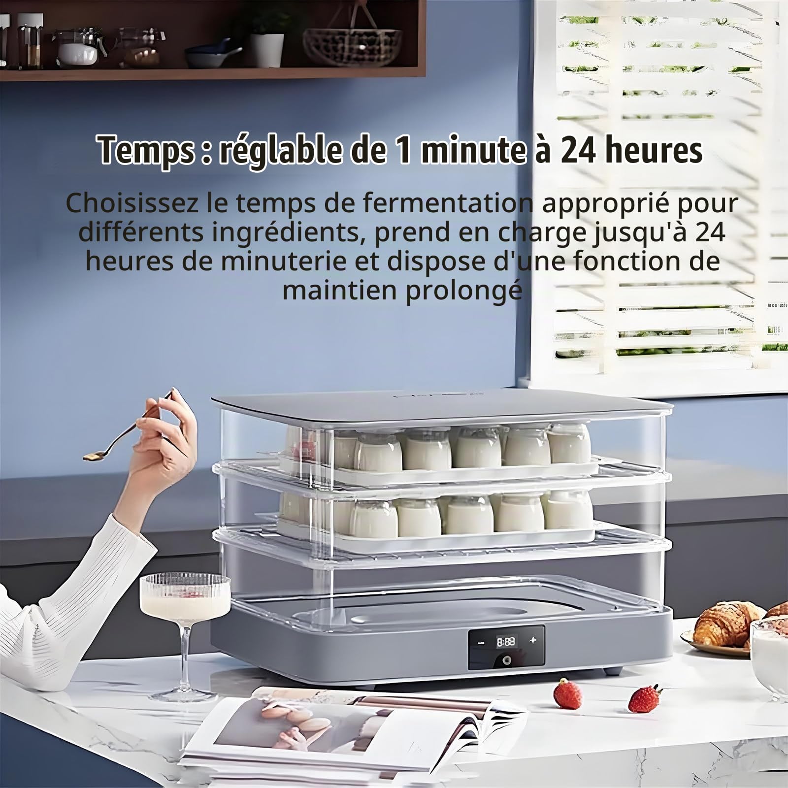 Chambre de pousse électrique 40 L, fermentation pour pâtes, yaourts, pains, yaourts, pains, avec contrôle de l'humidité et de la température, pour une fermentation homogène