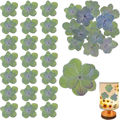 HEISENLIN 60 piezas de flores secas verdes hortensias dobles para adornos de resina, flores prensadas naturales para manualidades de resina, disponible en Yaxa Peru