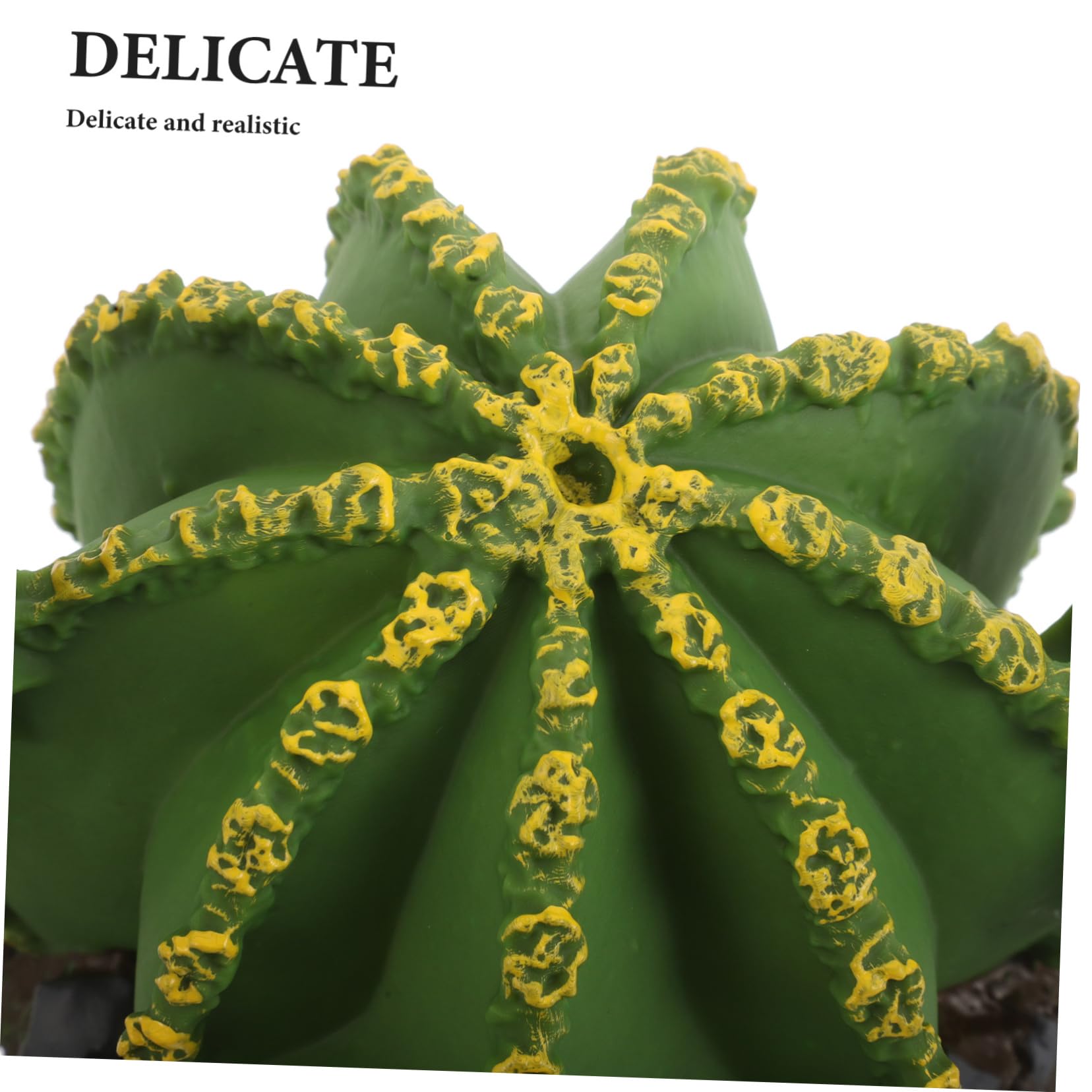 TOYANDONA 3pezzi Alberi in Miniatura di Realistiche Decorazioni Paesaggistiche per Acquari e Habitat di Rettili Accessori per Cactus e Piante del Deserto in Miniatura