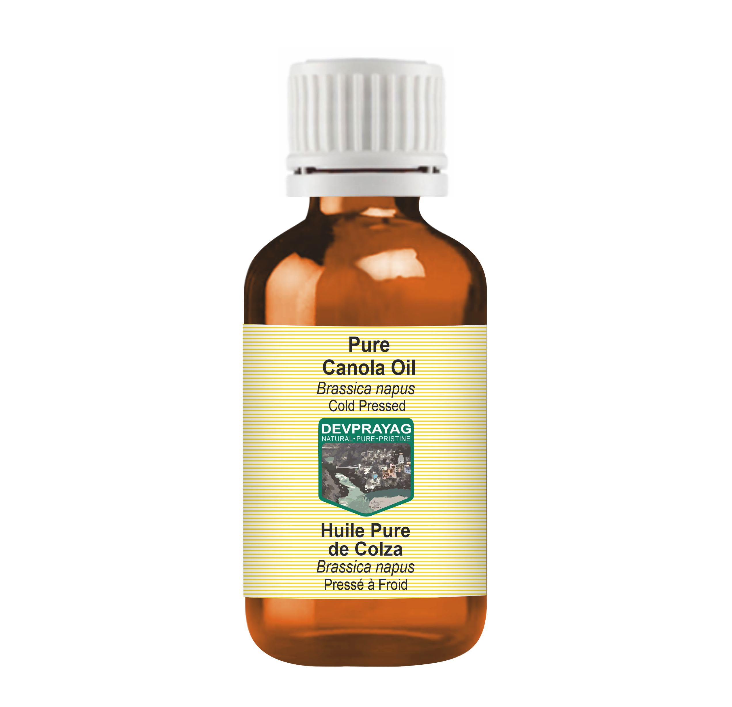 Pure Canola Oil (Brassica napus) | Cold Pressed | Natural | Undiluted | For Diluting Essential Oils | For Skin & Massage | Men & Women | 100ml-image-14