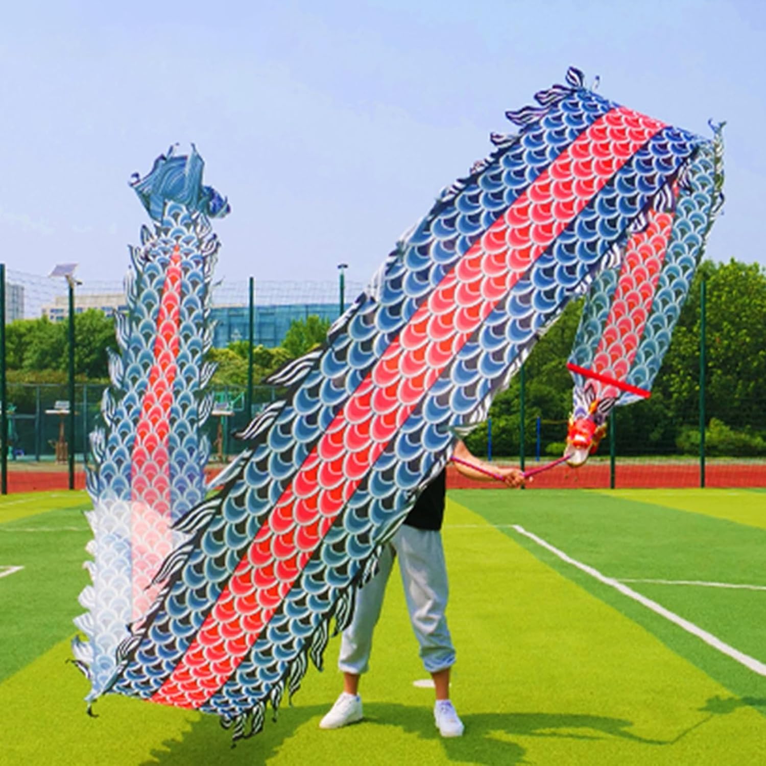 TFG - Ttfd Dancing Dragon Flag Playground Games, New Year Juggling Props, Senior Outdoor Sports Spinning Ribbons(Black,8 m (26 ft))