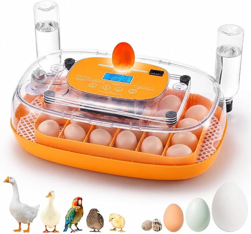 TURBRO Incubadora para huevos para incubar, giro automático, control de temperatura y humedad, vela incorporada, visualización de 360°, 24 incubadoras de huevos para pollo, pato, codorniz, pavo, ganso, loro, pájaro | Incubadoras de 24 huevos, giro automático, vela incorporada, visualización de 360°