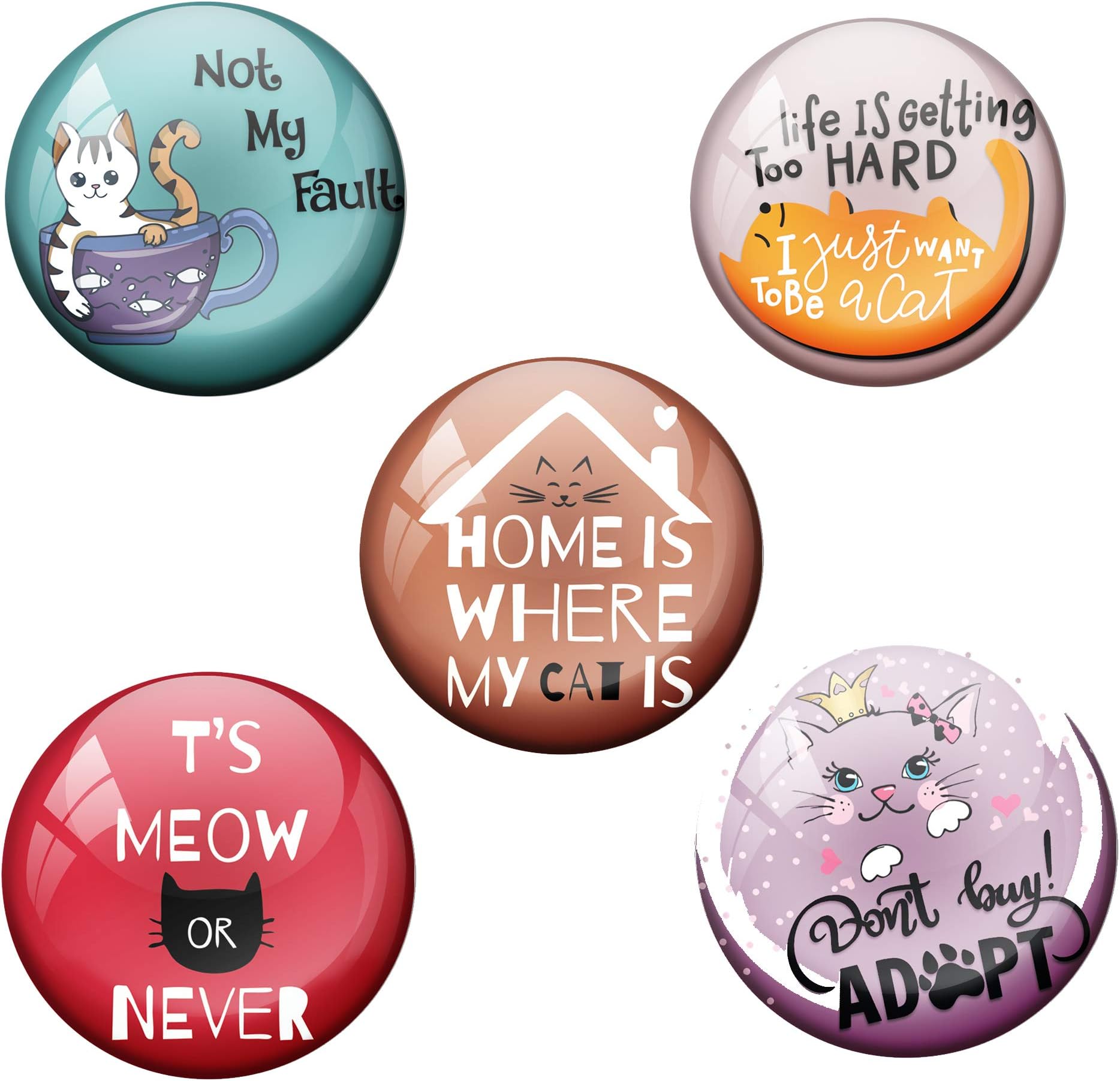 AVI 58mm Regular Size Cat Fridge Magnet (Multicolour) -Set of 5
