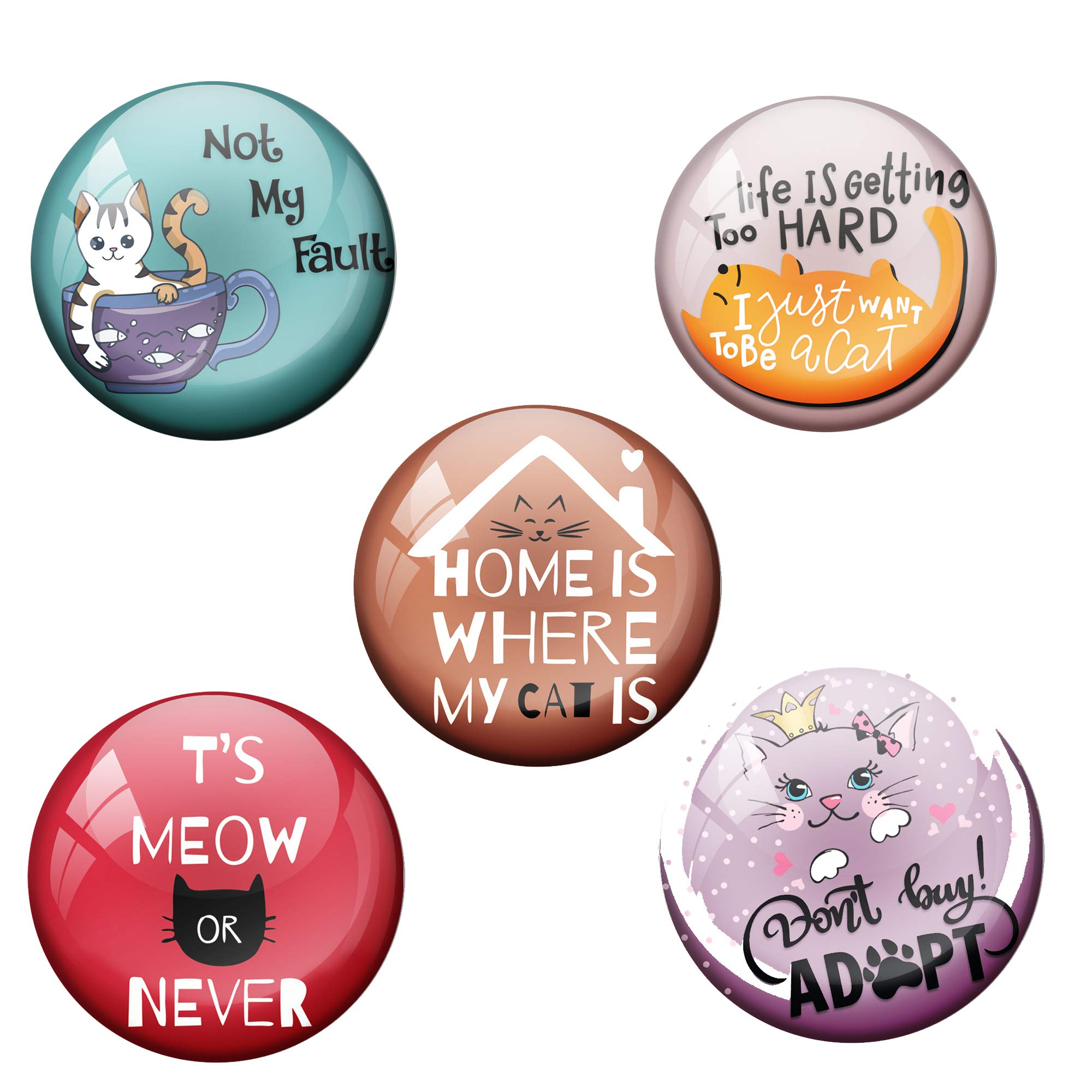 AVI 58mm Regular Size Cat Fridge Magnet (Multicolour) -Set of 5