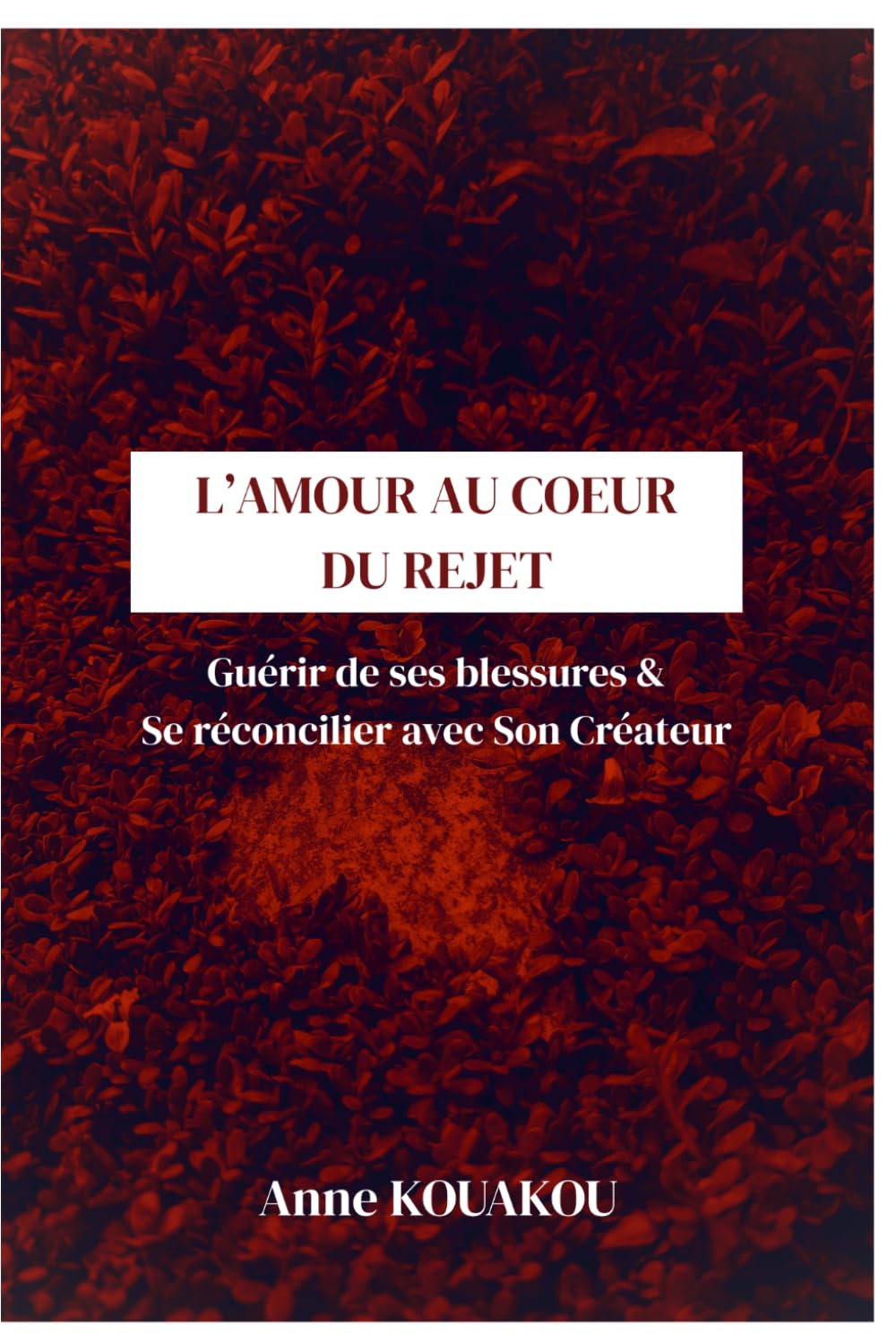 L’AMOUR AU CŒUR DU REJET: GUÉRIR DE SES BLESSURES ET SE RÉCONCILIER AVEC SON CRÉATEUR