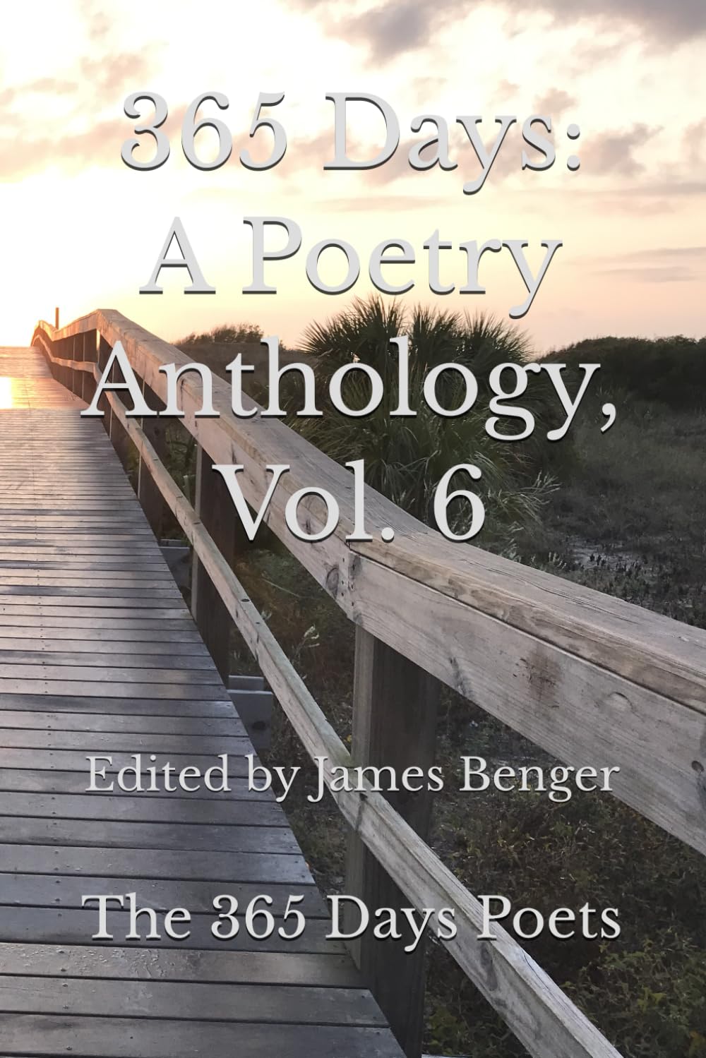 365 Days: A Poetry Anthology, Vol. 6