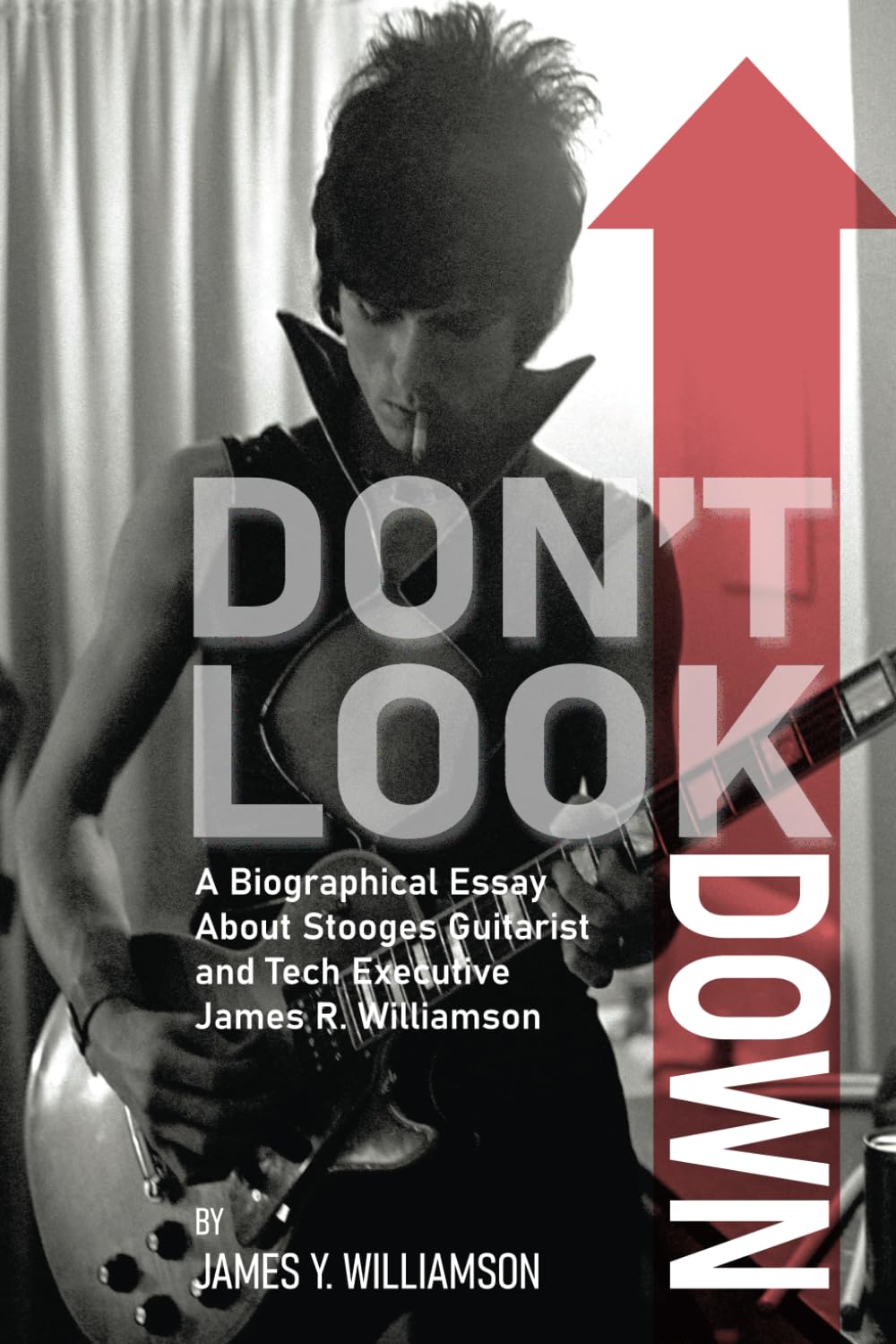 Don't Look Down: A Biographical Essay About Stooges Guitarist and Tech Executive James R. Williamson